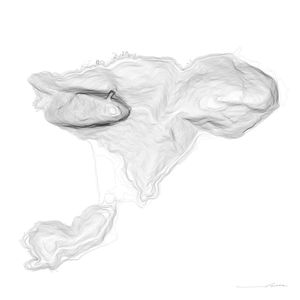 OÚREAS - ELEFANTE