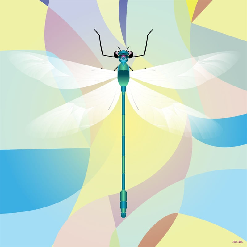 LIBÉLULA 2 - AADCREATIVE