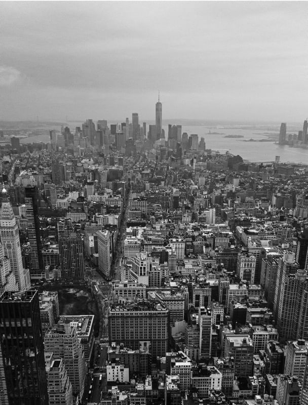 THE BIG APPLE