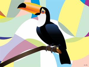 TUCANO 1 - AADCREATIVE