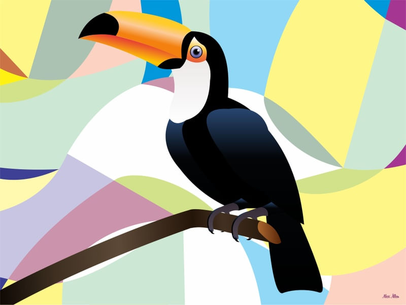 TUCANO 1 - AADCREATIVE