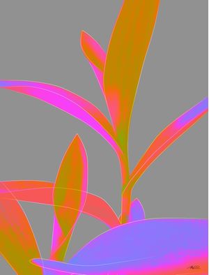 TRADESCANTIA II