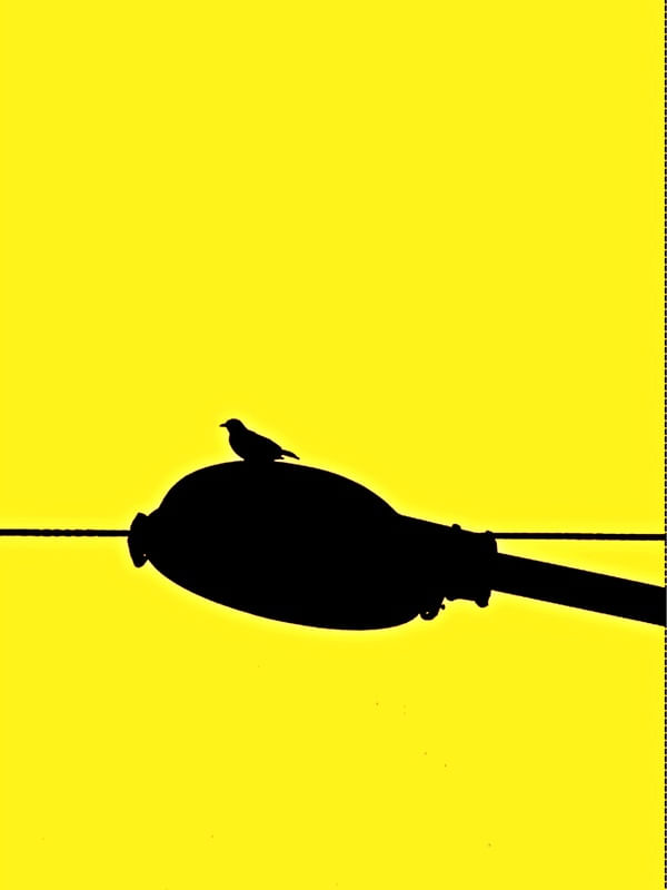 MUNDO DO AMARELO