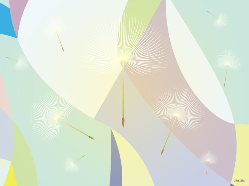 DANDELION 3 - AADCREATIVE