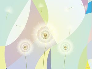 DANDELION 4 - AADCREATIVE