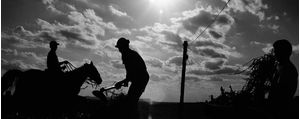 TRABALHADORES DA ROSA PH