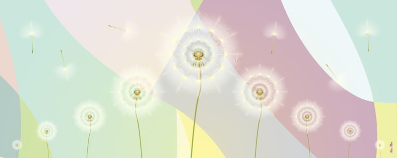 DANDELION 7 - AADCREATIVE