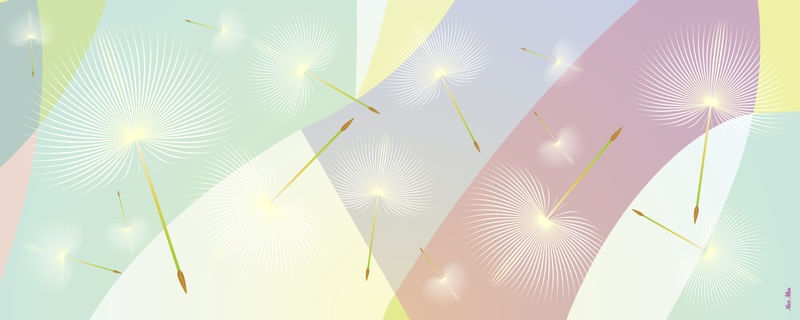 DANDELION 8 - AADCREATIVE