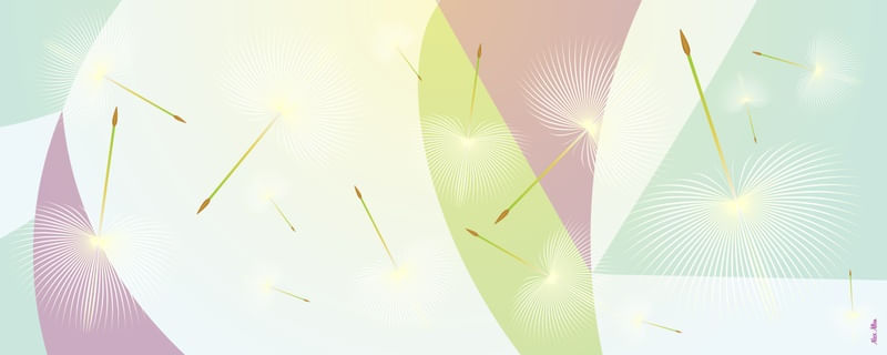 DANDELION 9 - AADCREATIVE