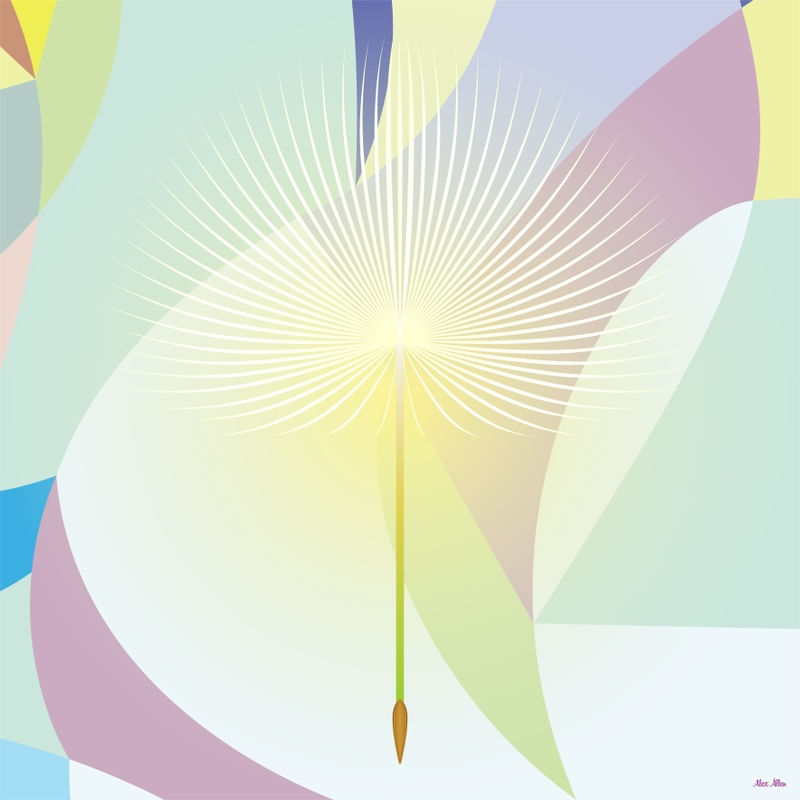 DANDELION 5 - AADCREATIVE