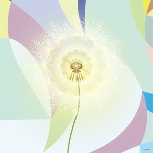 DANDELION 6 - AADCREATIVE