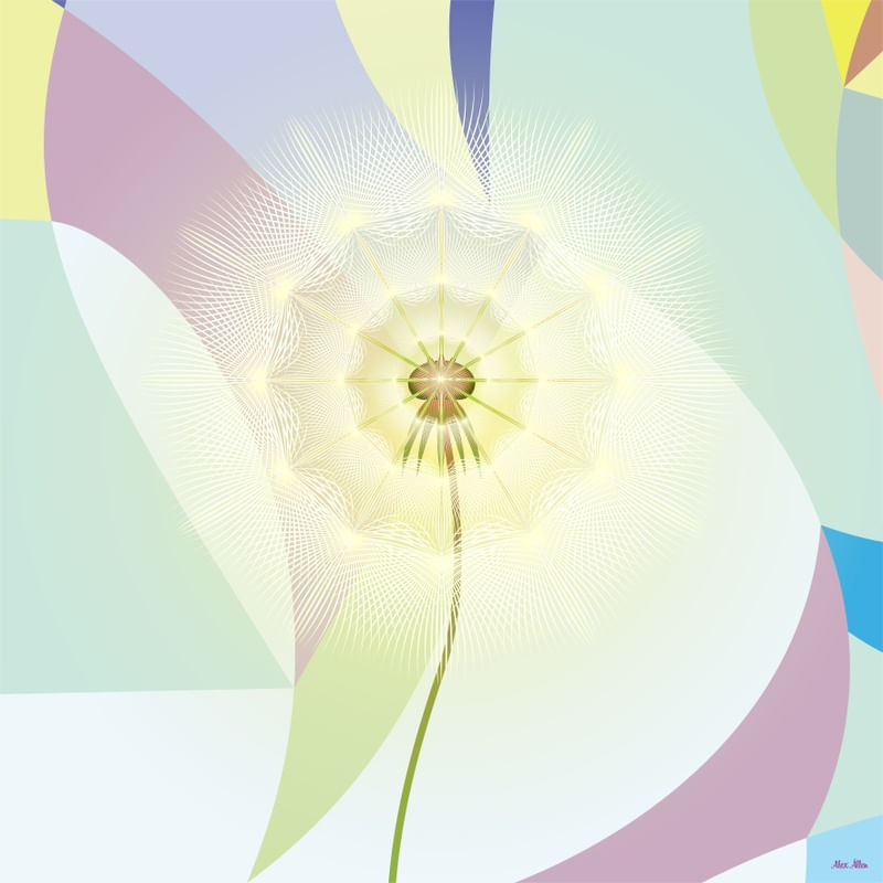DANDELION 6 - AADCREATIVE