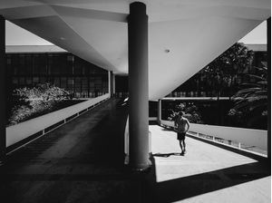 CAMINHANDO CONTRA A LUZ