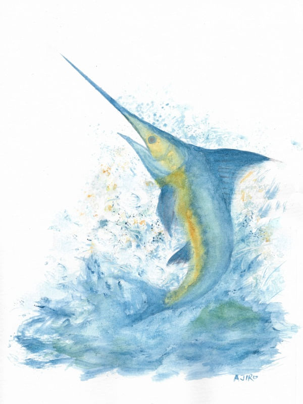 MARLIN