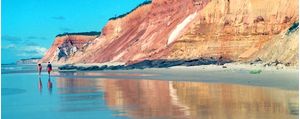 JACARECICA DO SUL PH