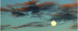 LUA PH