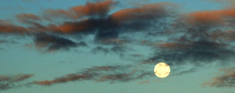 LUA PH