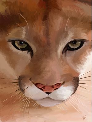 OLHAR DO JAGUAR
