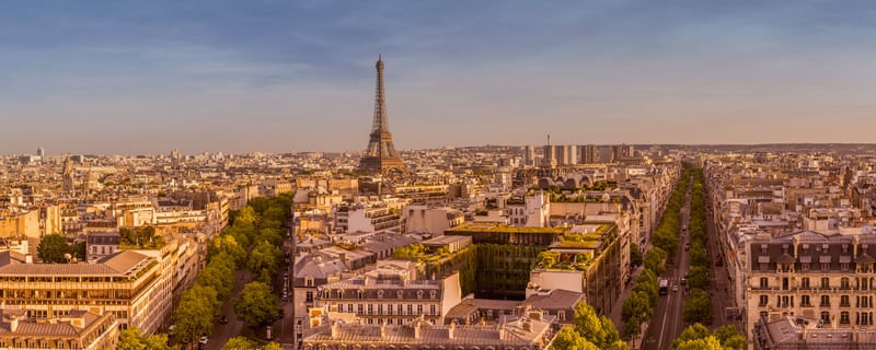 THE ROOFS OF PARIS
