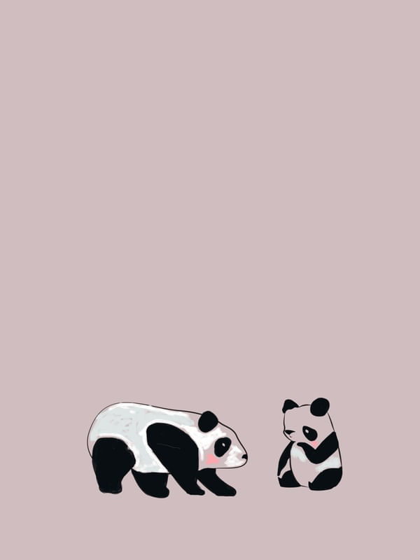 PANDAS ROSA