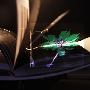 LIVRO IMAGEM