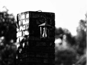 A LAMPADA DO BOSQUE