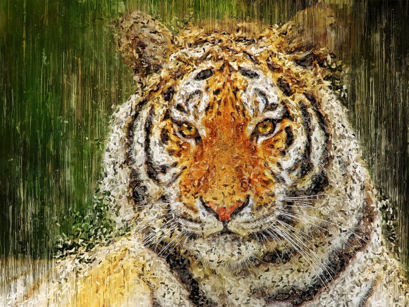 TIGRE EM TINTA