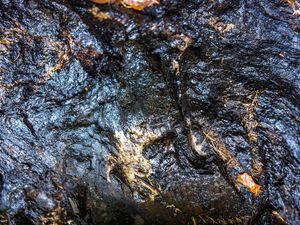 TEXTURA ARVORE