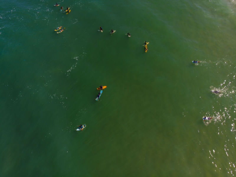 SURF ARPOADOR