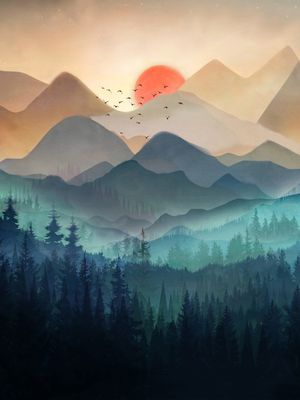 WILDERNESS BECOMES ALIVE AT NIGHT