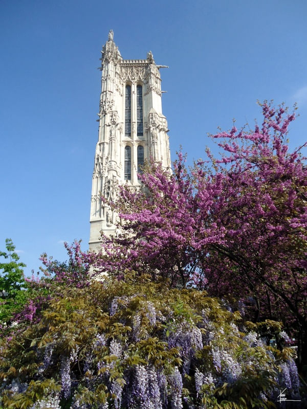 AS CORES DO MUNDO - PRIMAVERA EM PARIS