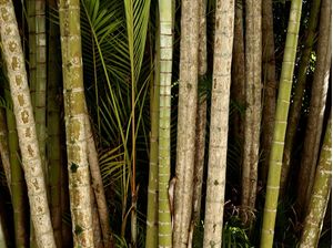 NATUREZA140