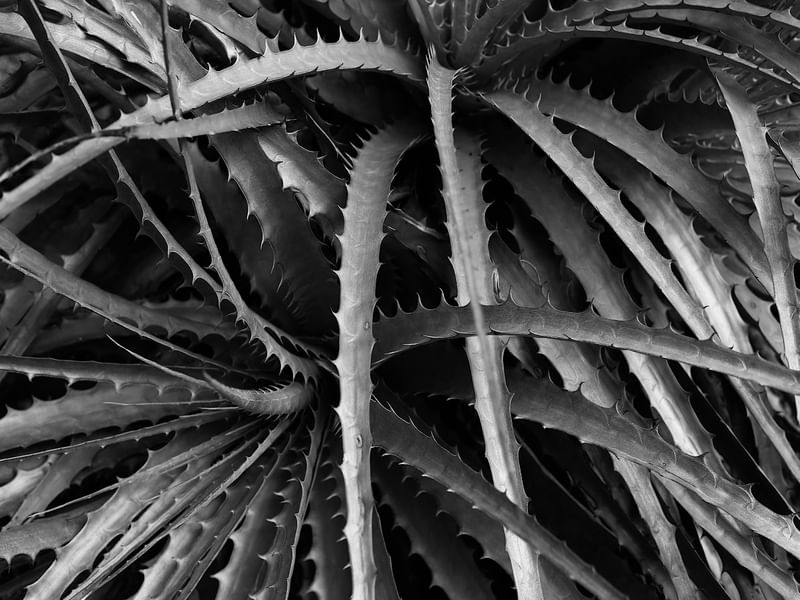 ABSTRATO12