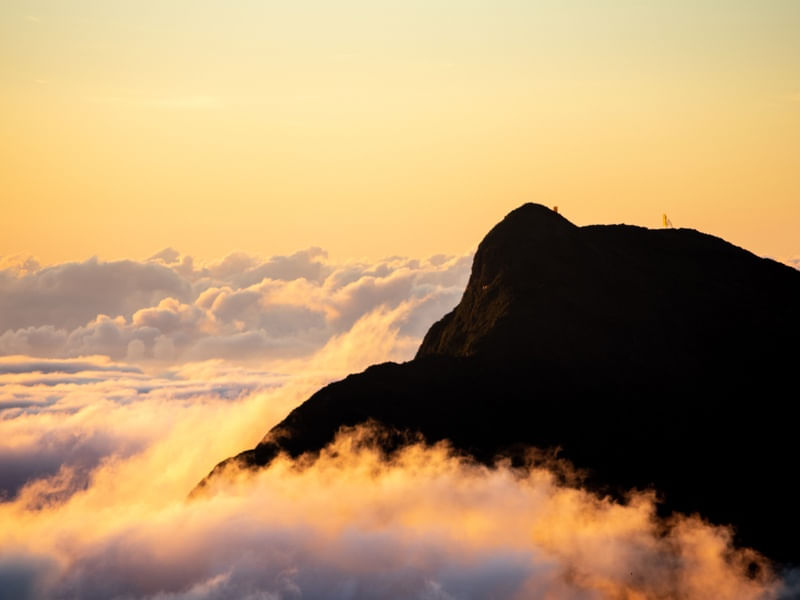 PICO CIRIRICA
