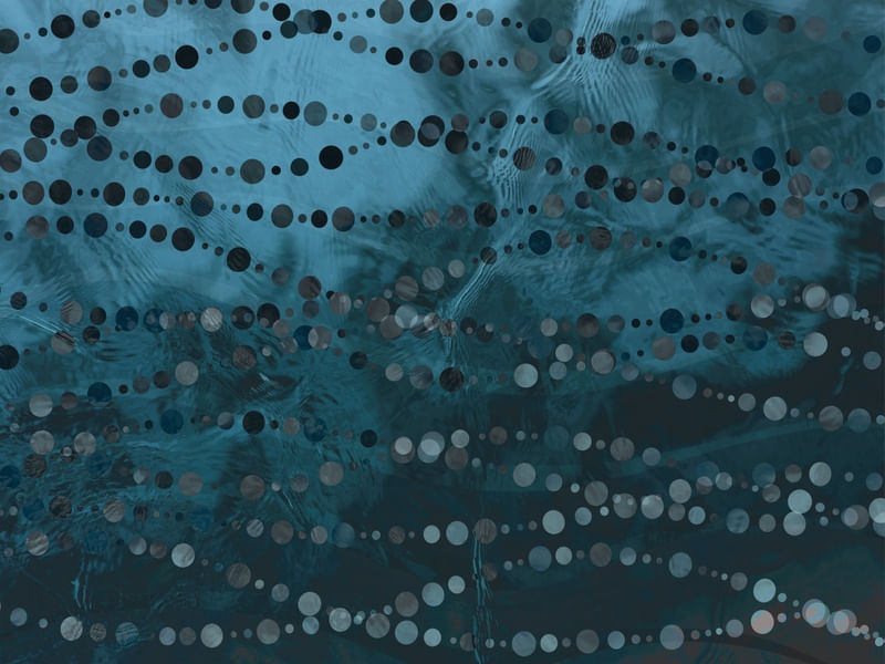 POLIMERASE BLUE