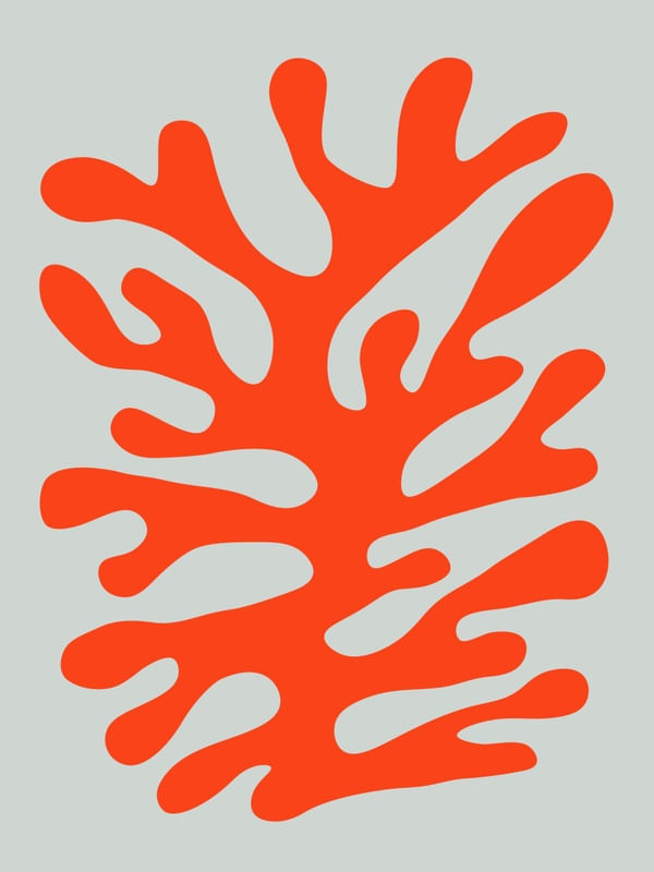 ILUSTRAÇÃO ORGÂNICA