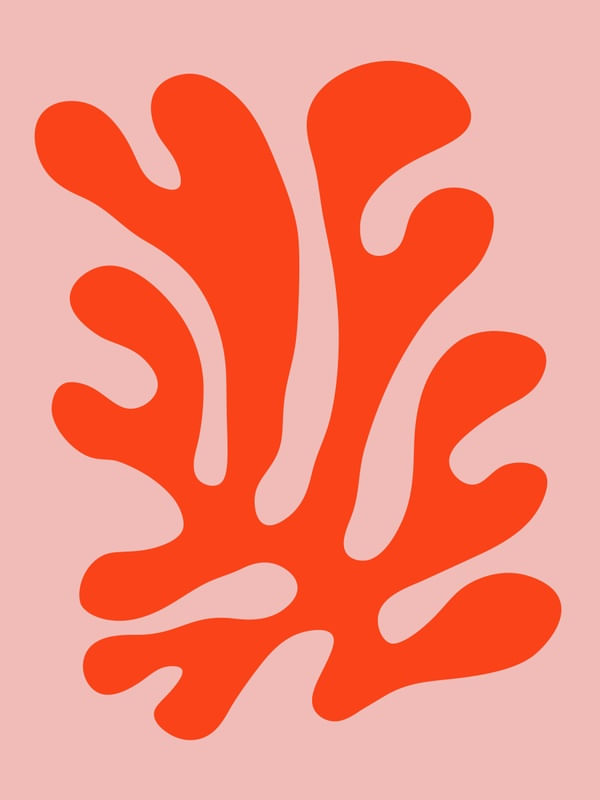 ILUSTRAÇÃO ORGÂNICA I