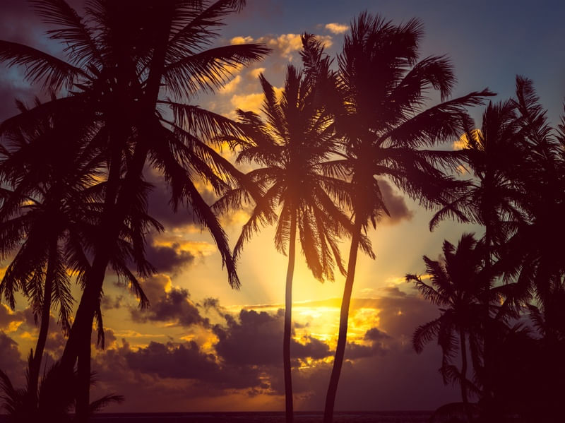 PRAIA SAN ANDRES