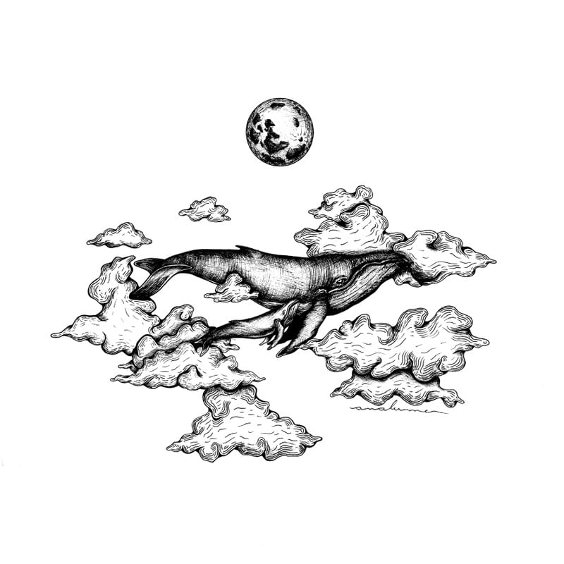 BALEIAS NO CÉU
