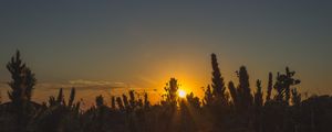 CARATUVAS E PÔR DO SOL