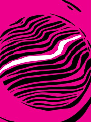 ZEBRA IV PINK