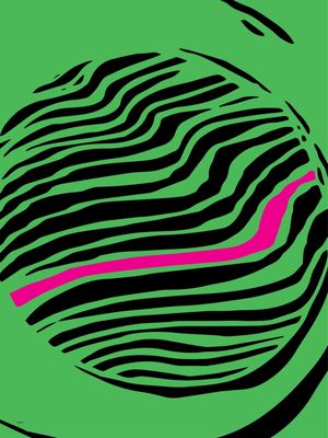 ZEBRA V GREEN