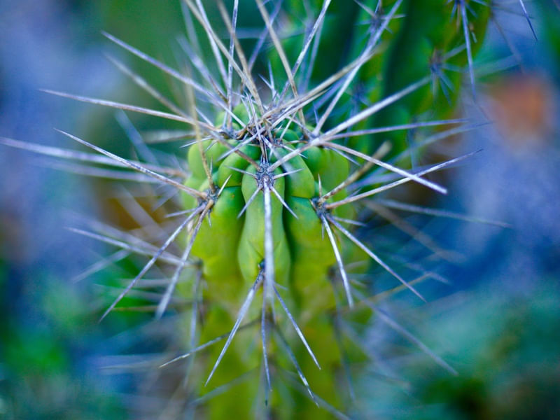 NATUREZA414