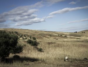 CAMPONES MARROQUINO