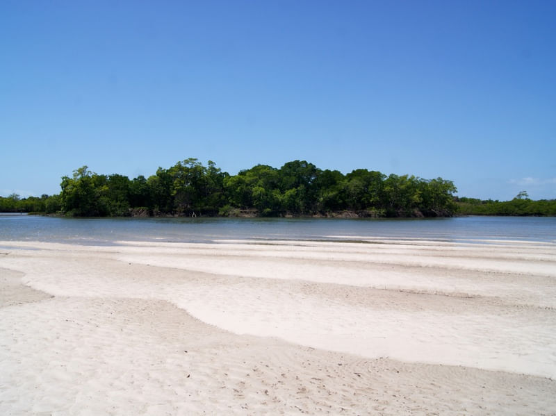 ILHA VERDE RIO PREGUIÇA