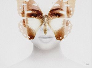 BUTTERFLIE