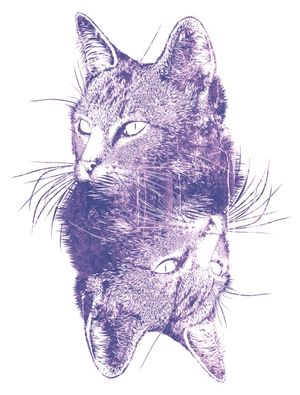 GATO FLORESTAL