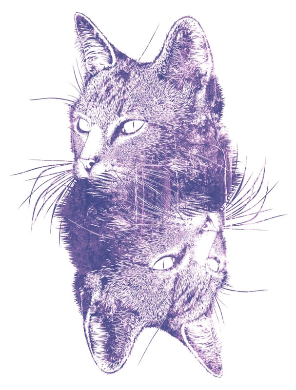 GATO FLORESTAL