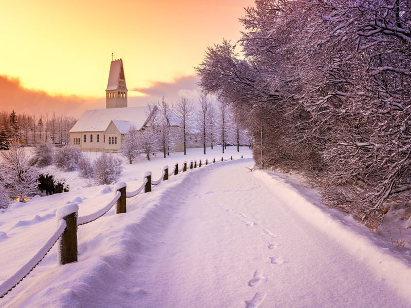 WINTER TIME II