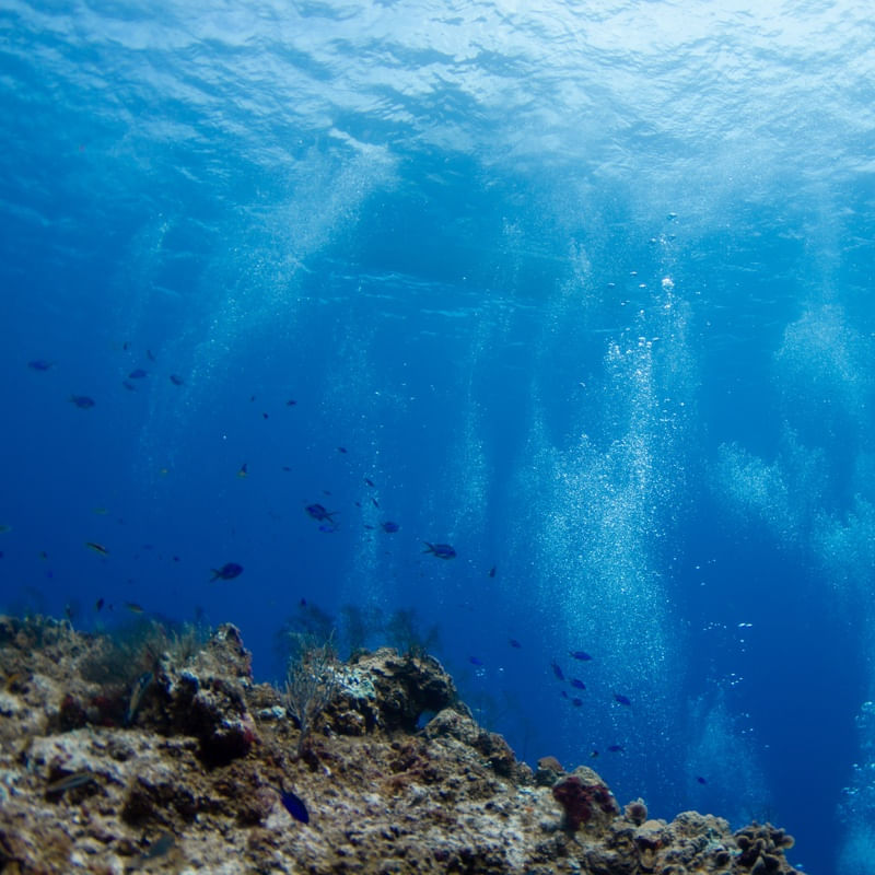 PROFUNDO NO MAR